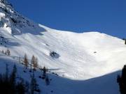 Tracce nella neve fresca di Fieberbrunn