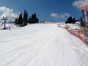 La pista facile di Witów