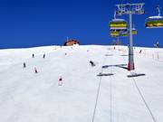 Parte superiore della discesa Lauberhorn-Weltcup