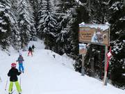 Suggerimento per i più piccoli  - Percorso per bambini „Auf den Spuren der Wildtiere“ (Sulle tracce degli animali selvatici)