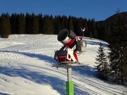 Cannone da neve ad alte prestazioni