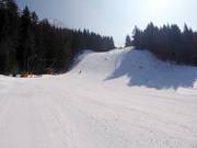 Parte inferiore della discesa Lauberhorn-Coppa del mondo di sci alpino