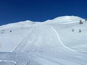 Sogni di carving al Windegga