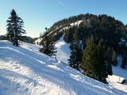 Discesa dall’Unternbergalm