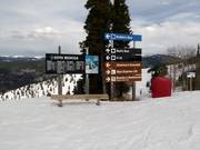 Segnaletica delle piste