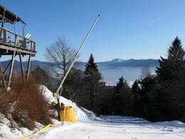 Hohenbogen - Neukirchen bei Hl. Blut