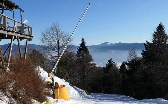 Sicurezza neve Hohenbogenwinkel – Sicurezza neve Hohenbogen - Neukirchen bei Hl. Blut