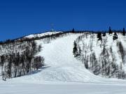 Pista con gobbe S'en Nr. 33 (Geilohovda)