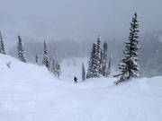 Ripide discese presso la seggiovia Milly Express