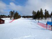 Pista facile Levi South