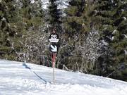 Segnaletica delle piste