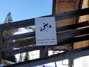 È anche “la tua” foresta.