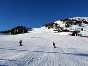 Pista Hochalm-Heimalm