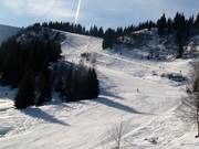 Discese al Pointe de la Turche a Les Gets