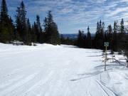 Pista molto facile n. 16