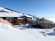 Suggerimento su Rifugi Holzalm Brixen