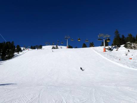 Offerta di piste Ski- & Gletscherwelt Zillertal 3000 – Offerta di piste Mayrhofen - Penken/Ahorn/Rastkogel/Eggalm