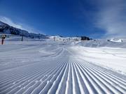 Snowpark appena preparato