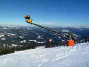 Innevamento completo all'Arber