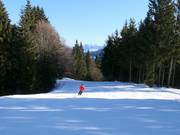 Discesa per famiglie