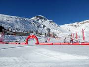 Suggerimento per i più piccoli 