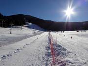 Wiese - Manovia/Babylift a fune bassa