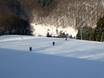 Offerta di piste Baden-Württemberg – Offerta di piste Bläsiberg - Wiesensteig