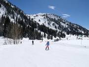 Pista facile presso la seggiovia Snowpine