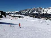 Piste facili presso gli skilift Schwammkopf e Tannenboden
