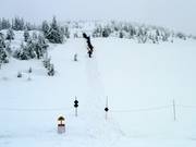 Salita verso Mt. Mackenzie