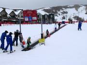 Tommy Knocker - Tapis roulant/Tappeto Magico