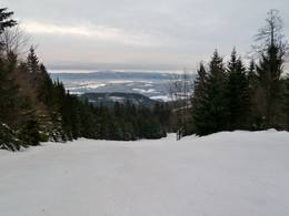 Geißkopf - Bischofsmais