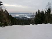 Ampie discese attraverso radure boschive portano a valle