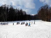 Principianti presso il Furano Prince Hotel