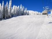 Discesa intermedia Exhibition