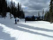 Discesa più lunga The Last Spike