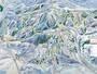 Mappa delle piste Deer Valley