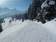 Collegamento sciistico dalla zona sciistica di Bürserberg a Brand