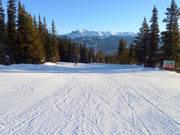 Pista facile Home Run