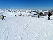 Le piste facili partono dallo Steinbergkogel