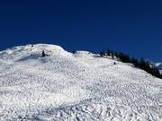 Itinerario sciistico Schäferhütte