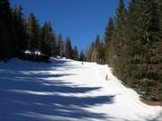 Pista intermedia Sinkmoos fino alla stazione a valle Breiteben