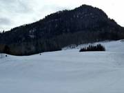 Vista sulla pista da sci al Lärchenhof