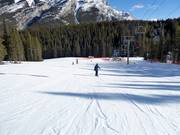 Pista facile presso la seggiovia Cascade