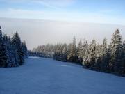 Discesa per famiglie