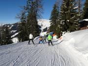 Discesa per famiglie Brandlalm