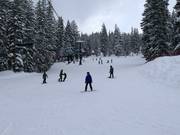 Pista facile presso la seggiovia Explorer