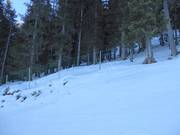 Efficace protezione di sbarramento delle aree boschive