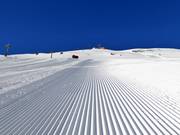 Preparazione perfetta delle piste
