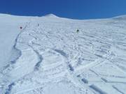 Pendio di neve fresca presso la Rossmoosbahn